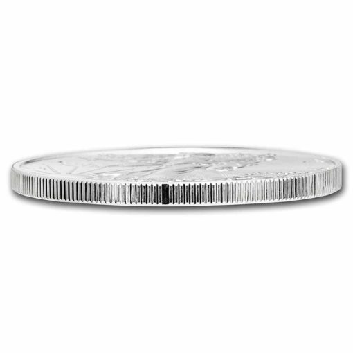 2021 (New) American Eagle Walking Liberty Silver 1 oz Coin【Type 2】 - Image 5