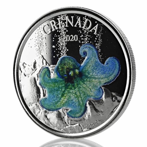 2020 (New) Grenada Octopus Silver 1 oz Color Proof Coin - Image 5