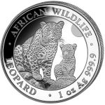 2024 (New) Somalia African Wildlife Leopard Silver 1 oz Coin