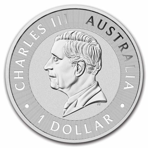 2025 (New) Australian Kangaroo Perth Mint Silver 1 oz Coin - Image 2