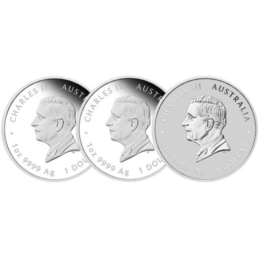 2025 (New) Australian Year of the Snake Lunar Silver 1 oz Coin Trio Set - Image 3