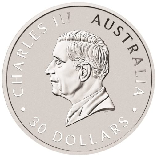 2025年 (新品) オーストラリア「コアラ」純銀 1キロ 銀貨 - 画像 (2)