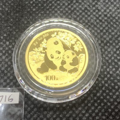 2024 (New) Chinese Panda Gold 8 gram Coin #10716