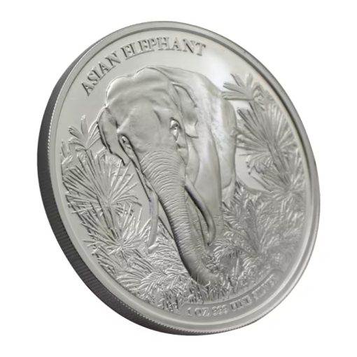 2023年 (新品) カンボジア「アジア ビッグファイブ・アジアゾウ」純銀 1オンス 銀貨 - 画像 (3)