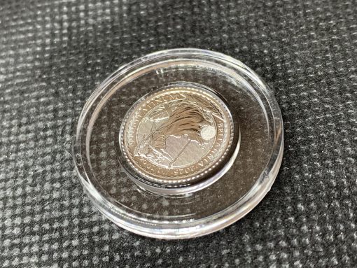 2025 (New) England Britannia Platinum 1/10 oz coin #10852 - Image 3